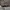 Блюдо прямоугольное 30*21*2,5 см, серия "Black Raw Wood" P.L. - ProffCuisine