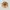 Глубокая тарелка RAK Porcelain Twirl Shell 320 мл, 23*8 см